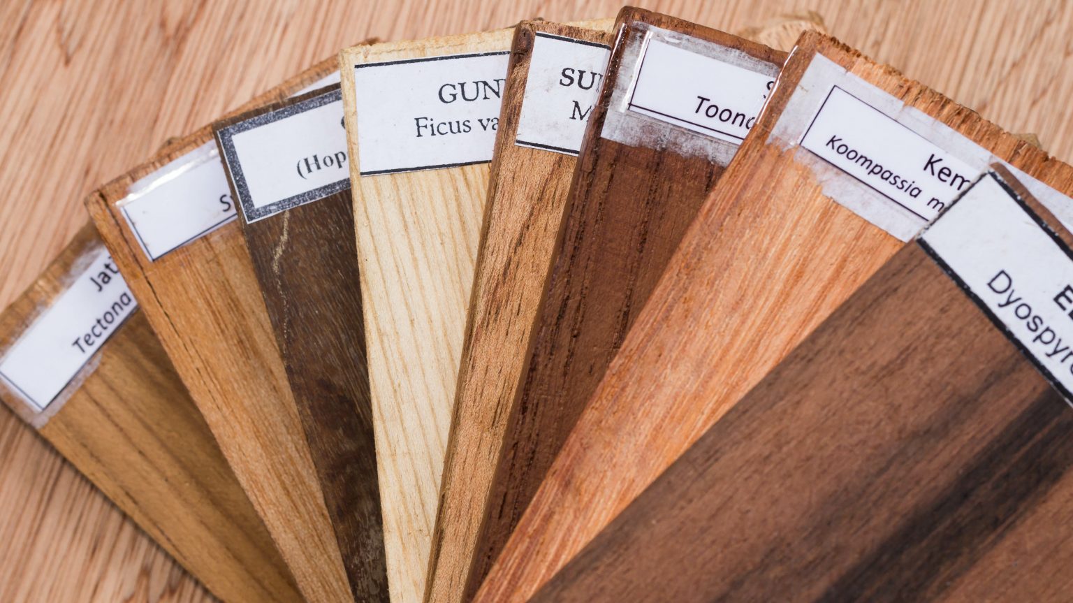 Choosing the Right Wood for Your Project